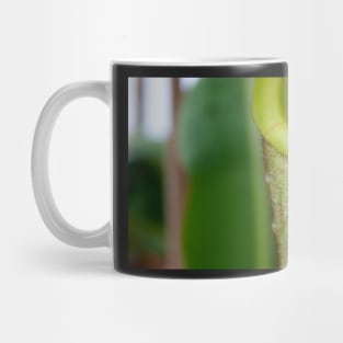 Beautiful carnivorous plant Mug